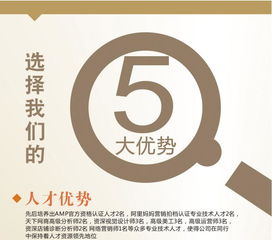 網店服務 代運營 整體托管 代運營 思路網siilu.com