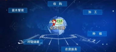 水果人,這里有一份好工作等你來翻牌