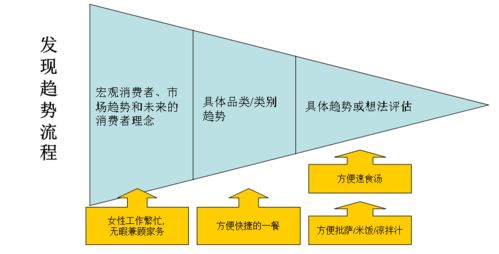 某國際大型食品公司新產品開發(fā)流程內部匯報版