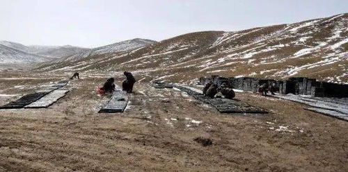 來了 中國地質學會2020年度十大地質找礦成果正式公布