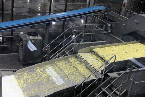 年加工冷凍馬鈴薯制品6萬噸 雪川固原馬鈴薯產業綠色高質量綜合開發項目投產