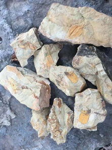 17級地質專業與地球物理專業地質認識實習
