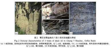 一個新的10億噸 鄂爾多斯盆地中生界延長組長7 段頁巖油地質特征及勘探開發進展