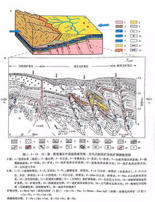 我國地勘泰斗畢生集大成之作 19類礦床全國分布圖 33種找礦預測模型圖