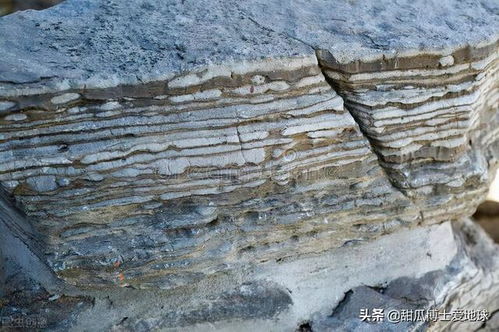 什么是頁巖油,頁巖油經歷了怎樣的勘探開發歷程