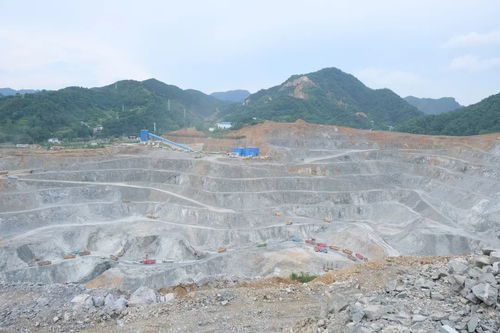 山溝里飛出了全球礦業(yè)龍頭 洛陽鉬業(yè)做對了什么