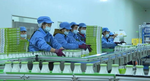 春節即將來臨,再招20個工人,加大生產