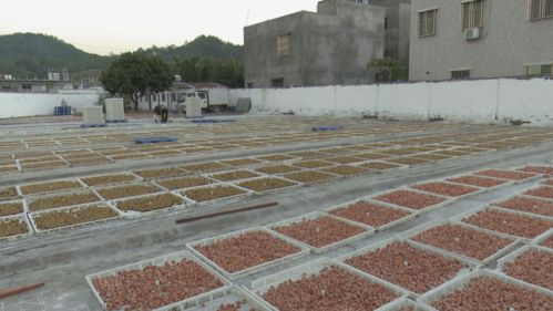 中國工程院院士俞夢孫到我縣調研