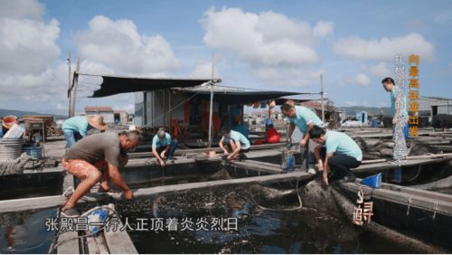 向最高標準出發 南海漁業 寶藏 的守護者